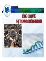 Tông quan về thị trường chứng khoán pdf