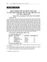 Báo cáo nghiên cứu khoa học 