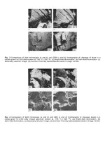 Volume 12 - Fractography Part 4 doc