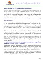 CÔNG TY CỔ PHẦN CHỨNG KHOÁN SÀI GÒN – HÀ NỘI - CỔ PHIẾU TIỀM NĂNG ppt