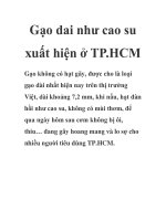 Gạo dai như cao su xuất hiện ở TP.HCM doc