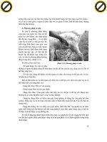 Giáo trình hình thành hệ thống ứng dụng nguyên lý phân tích chẩn đoán lâm sàn thú y p2 pps