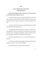 Bài 5 LỊCH SỬ HÌNH THÀNH VÀ PHÁT TRIỂN LÃNH THỔ (tiếp theo) 1. Hãy trình bày docx