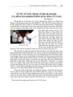 Báo cáo nghiên cứu khoa học 