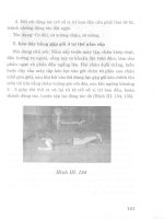 Thể dục thể hình – Phương pháp tập luyện part 8 ppsx