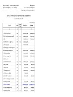 CÔNG TY CP ĐẦU TƯ HẠ TẦNG KỸ THUẬT TP.HCM - BÁO CÁO TÀI CHÍNH HỢP NHẤT Q4 - 2009 potx