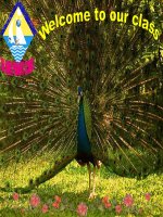 Giáo án điện tử tiểu học môn tiếng Anh: lets learn_2 docx