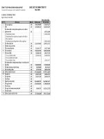 CÔNG TY CỔ PHẦN CHỨNG KHOÁN AN PHÁT - BÁO CÁO TÀI CHÍNH TÓM TẮT NĂM 2008 pps