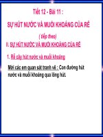 BAI 11 SU HUT NUOC VA MK TT pot