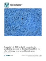 báo cáo khoa học: 