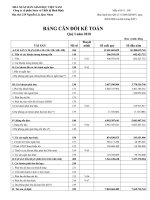 Báo cáo tài chính của Công ty cổ phần Sách và Thiết bị Bình Định năm 2010 pot