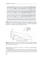 Cardiology Core Curriculum A problem-based approach - part 4 ppt