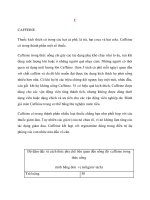 Lý thuyết y khoa: Tên thuốc CAFFEINE ppsx