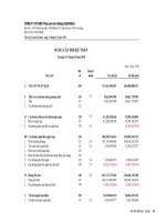 CÔNG TY CP XNK Thủy sản An Giang - Bảng cân đối kế toán - Quý 1 - 2010 pptx