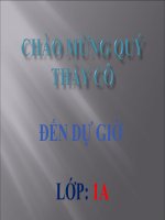 Giáo án điện tử tiểu học: Bảo vệ Cây và Hoa nơi công cộng ppt