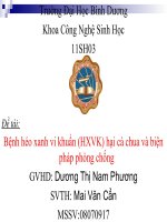 Mai Văn Cẩn. Bệnh héo xanh vi khuẩn hại cà chua (BC) doc