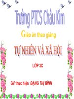 Giáo án điện tử tiểu học: Tự nhiên và xã hội lớp 3 pdf