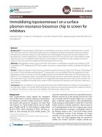 Immobilizing topoisomerase I on a surface plasmon resonance biosensor chip to screen for inhibitors pptx