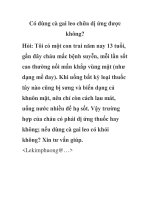 Có dùng cà gai leo chữa dị ứng được không? docx