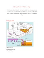 Hệ thống nhiên liệu của EFI (động cơ xăng) potx