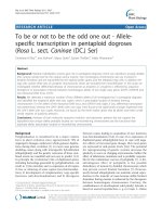 báo cáo khoa học: 