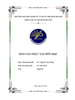 công tác quản trị thương hiệu của công ty chè sông cầu