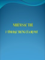 Giáo án điện tử môn sinh học: Sinh Học lớp 12- Nhiễm Sắc thể- Các Loại NST doc