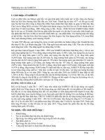 marketing mix SABECO pdf