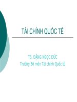 Bài giảng môn: Tài chính quốc tế pptx