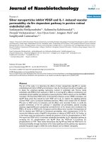 báo cáo khoa học: 