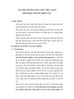 HƯỚNG DẪN VIẾT TIỂU LUẬN NGUỒN NHÂN LỰC pptx