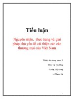 Tiểu luận nguyên nhân, thực trạng và giải pháp chủ yếu để cải thiện cán cân thương mại của việt nam