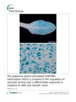 báo cáo khoa học: 