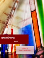 Bài thuyết trình về polimer