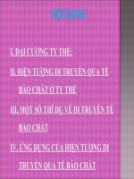 Di truyền tế bào chất ở ty thể ppsx