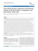 báo cáo khoa học: 