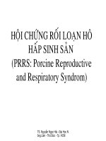 giáo án điện tử môn sinh vật học:Hội chứng rối loạn hô hấp sinh sản(Porcine Reproductive and Respiratory Syndrom) pps