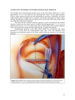 General Principles for Approaches to the Facial Skeleton - part 3 pdf