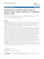 báo cáo khoa học: 