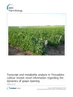 báo cáo khoa học: 