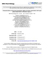 báo cáo khoa học: 