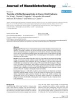 báo cáo khoa học: 