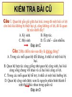 Giáo án điện tử môn sinh học: Sinh học lớp 12- Mối quan hệ sinh dưỡng docx