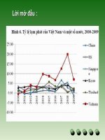 Đề tài: Sử dụng mô hình AD-AS để phân tích các biện pháp mà chính phủ Việt Nam đã sử dụng trong thời gian qua để kiềm chế lạm phát pdf