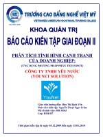 phân tích tình hình cạnh tranh của doanh nghiệp công ty tnhh yêu nước
