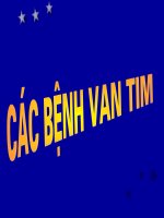Các bệnh van tim docx