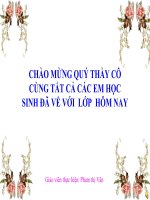 Giáo án điện tử môn sinh học: Sinh học lớp 12-Diễn thế sinh thái(Nâng cao) ppsx
