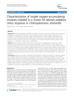 báo cáo khoa học: 