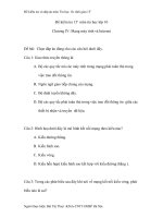 Đề kiểm tra và đáp án môn Tin học 10 pdf