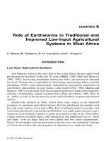 SOIL ECOLOGY IN SUSTAINABLE AGRICULTURAL SYSTEMS - CHAPTER 6 pptx